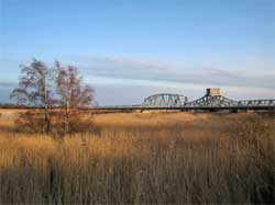 Zingst Zugvögel